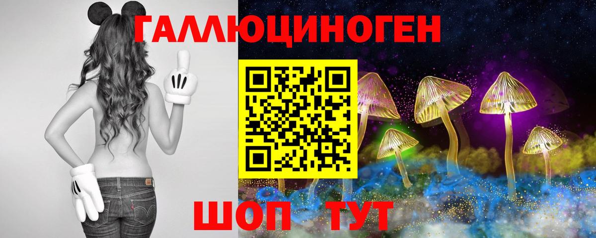 Псилоцибиновые грибы Cubensis Фролово