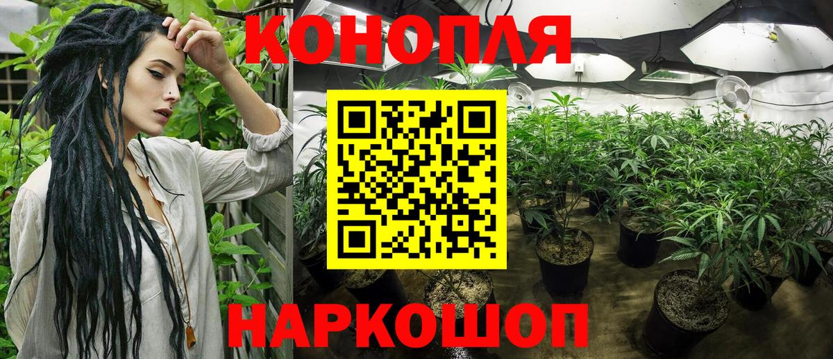 Бошки марихуана SATIVA & INDICA  Марихуана Ganja  Бошки марихуана сатива  Фролово  Бошки марихуана ГИДРОПОН  Вход с VPN 